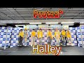 Halley/Protea*(バイプロテア) 【2025.10.8@ヨドバシカメラマルチメディア博多】