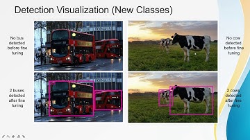 Video Surveillance Using Deep Learning With Few Data Samples