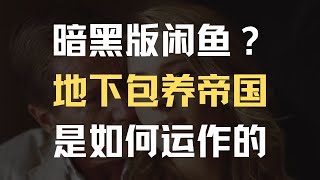 4天1万？7万人大群？地下包养交易有多疯狂？是谁在经营包养产业链？