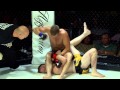 Mind print productions mma highlight