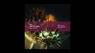 Gabriel Dor & Bordoy - Aura Dynamic Reflection