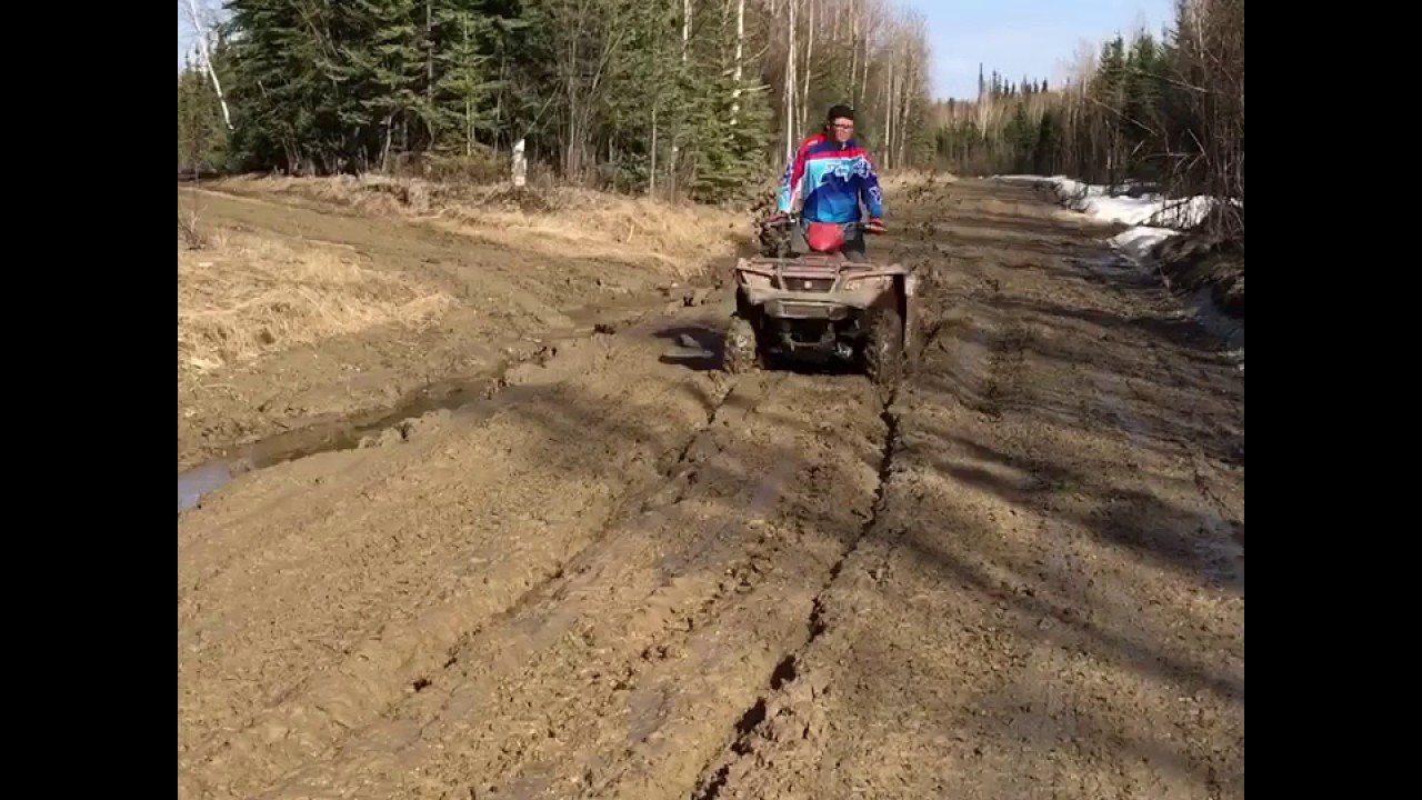 Suzuki king quad 500axi (2016)