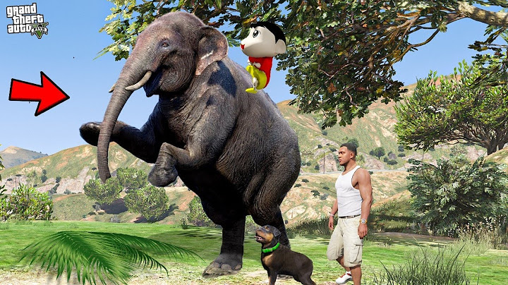 Franklins New Pet Is An Elephant in GTA 5 !
