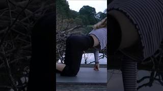 yoga in the evening