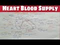 Heart Blood Supply - 1 ( Right Coronary Artery )