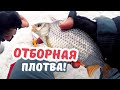 С ТАКОЙ ПЛОТВОЙ никакой щуки не надо!!! БЕЗМОТЫЛКА ГВОЗДЕКУБИК рулит!