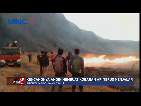 Akses Wisata ke Gunung Bromo Ditutup Sebagian Imbas dari Kebakaran - LIP 03/09