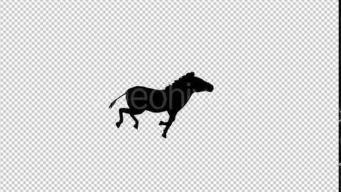 Running Zebra Silhouette | Motion Graphics - Envato elements
