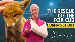 Lorna's Story: The Rescue Of The Fox Cub