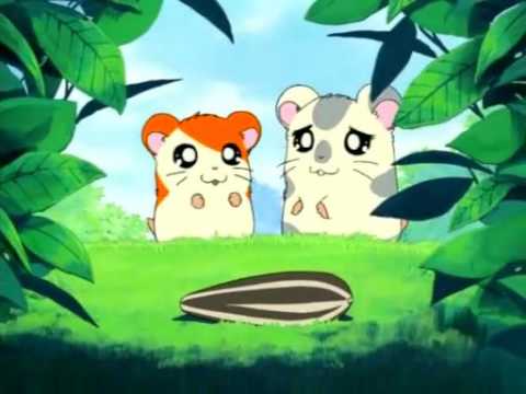 hamtaro 1 temporada dublado