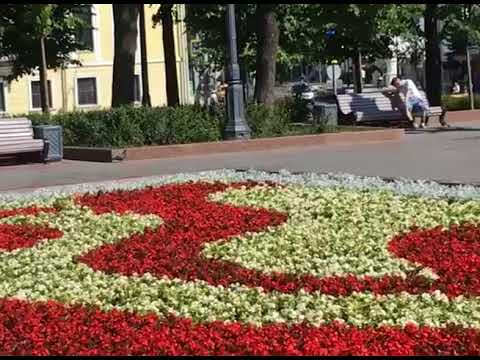 Пушкинская площадь еще не заполнилась людьми, а фонтан «Пушкинский» уже бьет во всю camera iphone 8 plus apk