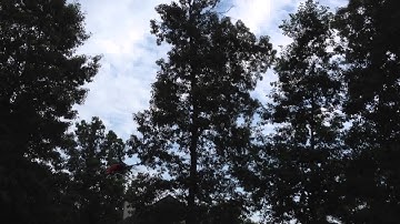 V450D03 First Flight