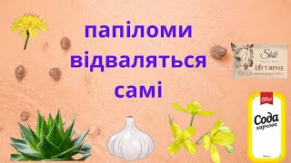 ЯК ПОЗБУТИСЯ ПАПІЛОМ У ДОМАШНІХ УМОВАХ НАРОДНИМИ МЕТОДАМИ.