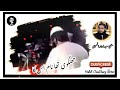 Sahaba ki azmat ka pasban molana haq nawaz jhangvi shaheed  klam mufti saeed arshad sahib  status