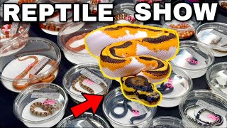 LARGEST Reptile EXPO I’ve ever seen!!!
