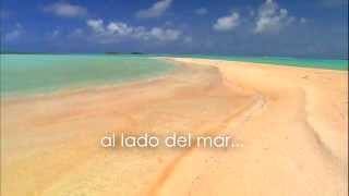 Video voorbeeld van "David Summers - A lado del mar (official video, lyric video)"