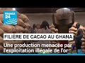 Filire du cacao  le ghana traverse une crise de production les prix explosent  france 24