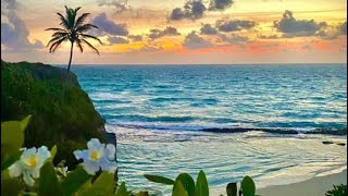 Barbados Island Tours and Trips| Bridgetown Barbados | Sweet Life Tours