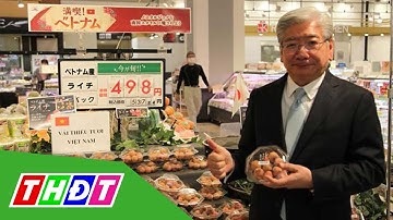 2 tấn vải thiều sang Nhật Bản hết sạch với giá 600.000đ/kg | THDT