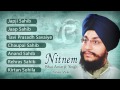 Nitnem | Bhai Amarjit Singh | Gurbani | Path | Devotional Compilation Mp3 Song