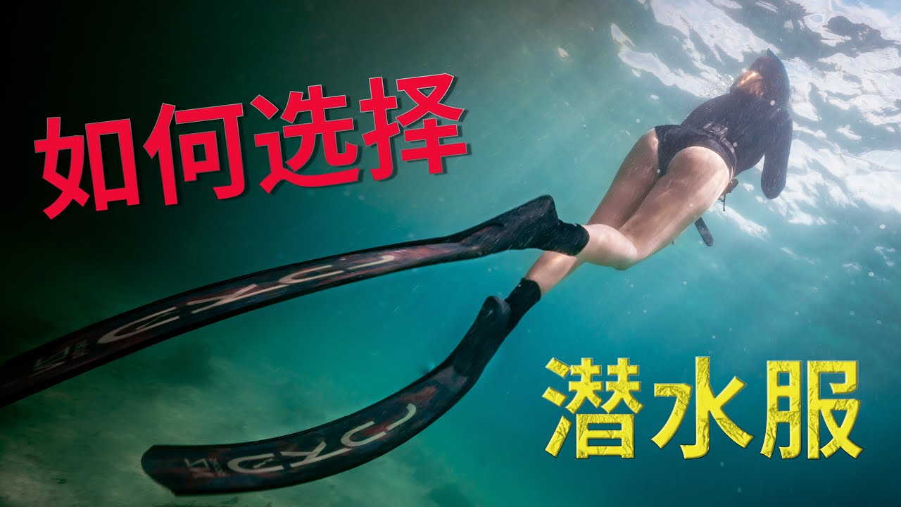 潜水服怎么选 潜水教学 二十一 如何选择一款适合你的潜水服how To Choose The Right Wet Suit For Diving Youtube