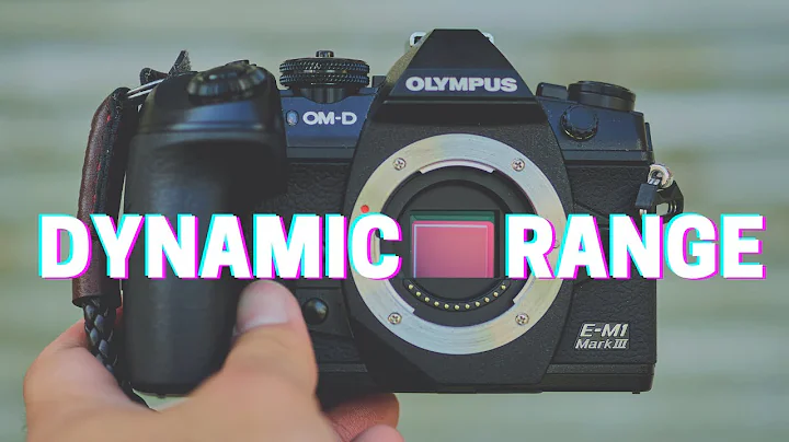 Optimizing DYNAMIC RANGE For Olympus OM-D Cameras