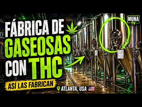 THC DRINKS in the United States 🇺🇸 | Ultrasonic nanoemulsification at "Fizzy lifting" Atlanta