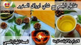 ماذا يحدث لجسمك لما تشرب اوراق الصنوبر🌲كابح لجميع انواع 🦠مضاد للأكسدة والأورا~م/مهم لموسم الامراض