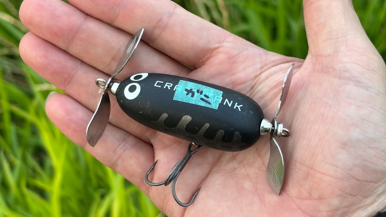 The Crazy Tank was the best! It's not just cute, it's also great