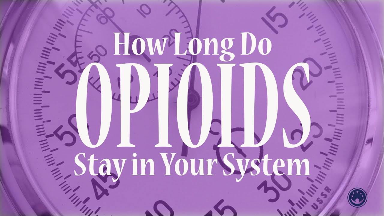 How Long Do Opioids Stay In Your System