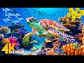 Ocean 4k  sea animals for relaxation beautiful coral reef fish in aquarium 4k ultra 86