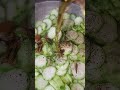 Ginisang Patola Lutongilokano Cooking Recipe Ilokanorecipe Ginisang Patola Lutongilokano Cooking Recipe Ilokanorecipe