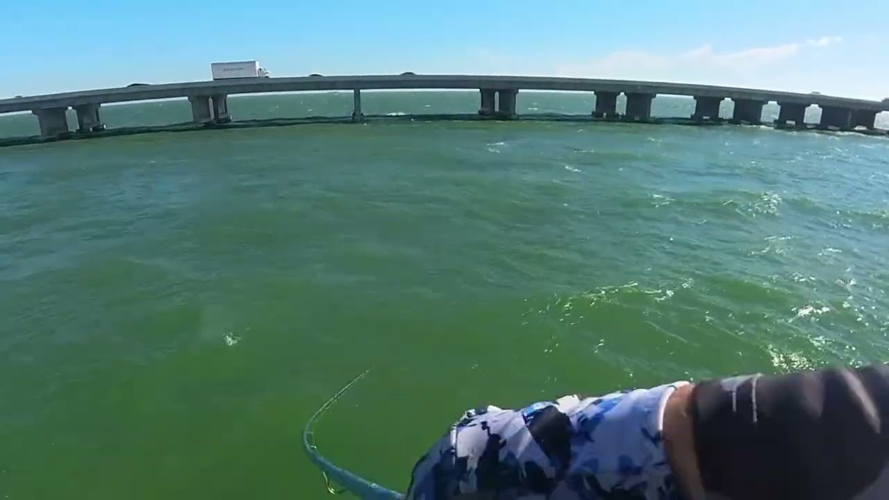 ОСЕНЬ/ВЕСНА Макрель Блиц - пирс Скайвей