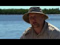 The Life of a Sawfish: Daily Planet