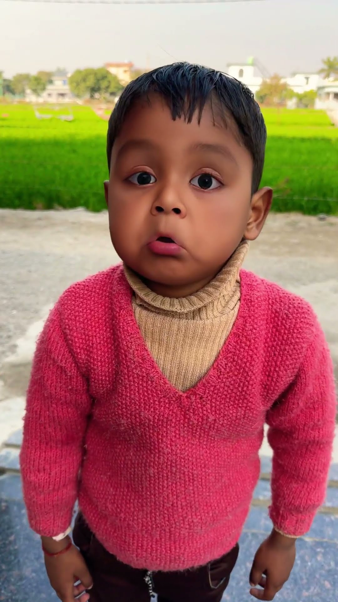 Bholenath ji ❤️? #shorts #trending #love #trendingshorts #maa #viralvideo