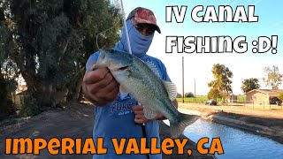 WHY IS FISHING IN IMPERIAL VALLEY SO HARD :O!?!? Ft. Werf TV
