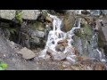 Карпаты Труфанецкий водопад Carpathians Trufanets waterfall