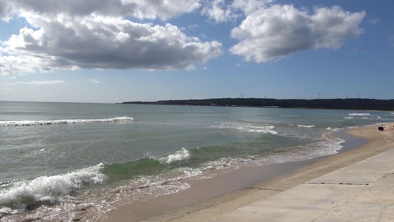 石川県のワイキキ 増穂浦海岸 Ishikawa 浜辺に打寄せられる さくら貝 Youtube