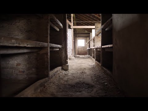 Video: Hvad Er Auschwitz