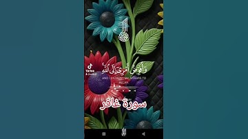 سورة غافر #اكسبلور #quran #دويتو #duet #دعاء #تيك_توك #دعاءمستجاب #حالات_واتس #فولو #اسلاميات