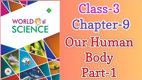 Class-3 l Our Human Body (Part-1)l Sense Organs l Science lFill in the Blanks l Learn Up With Somali