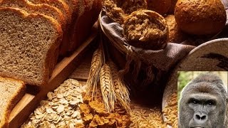 Let's Talk About Preworkout Nutrition