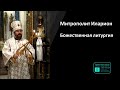 Митрополит Иларион | Всенощное бдение. Крещение Господа Бога и Спаса нашего Иисуса Христа 18.01.2024