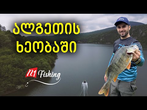 რეკორდული ზომის ქორჭილა თევზაობა მწვადაობა და ულამაზესი ბუნება @GoLetsPlayo8  @LashaPirtskhalava