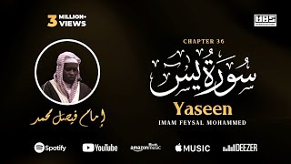 Surah Yaseen | Imam Feysal | Audio Quran Recitation