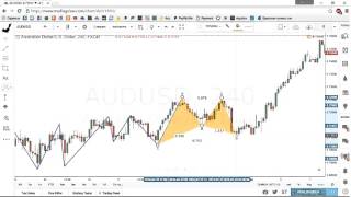 Forex weekly forecast. Swing structure explanation