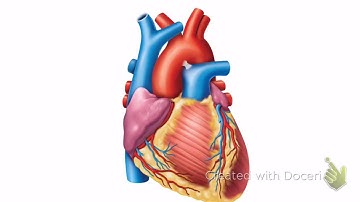 BIO 202 Midterm lab exam review video