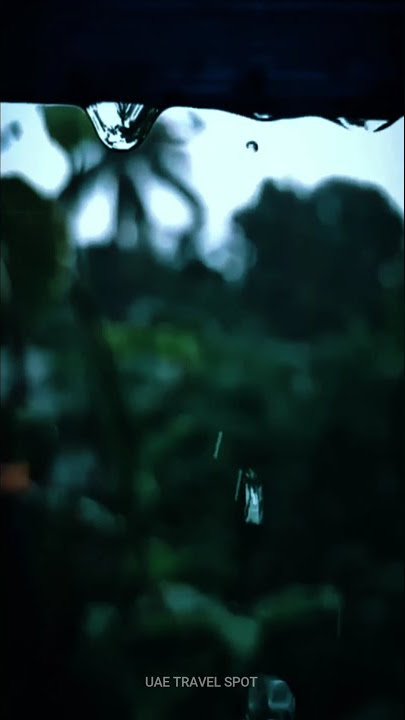 Rain Whatsapp Status | Rain Whatsapp Status Video | Rainy mood whatsapp status |   Rain Day