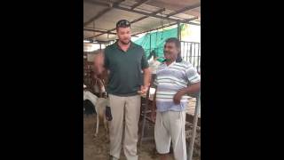 Aai Goat Farm, Savindane visit USA Couple