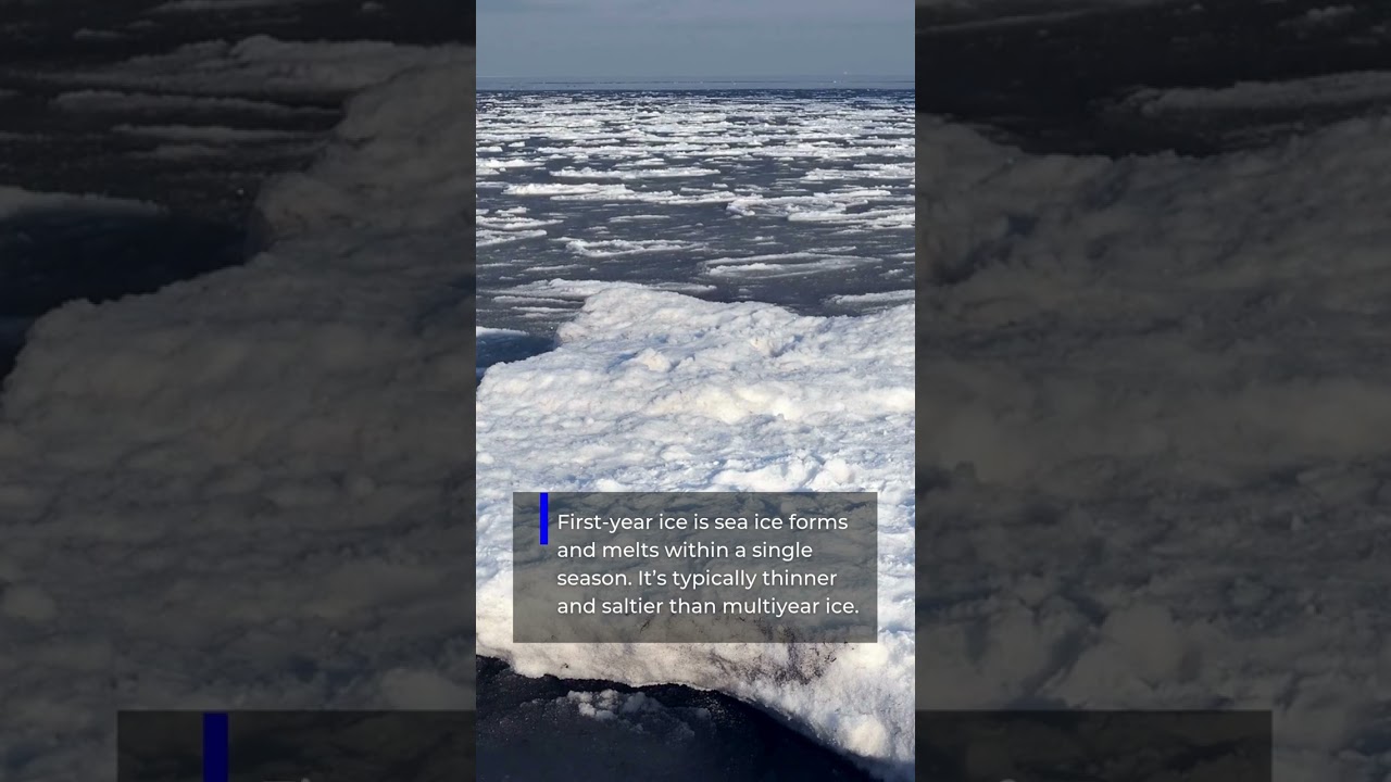 Sea ice is a crucial component in Earth's climate system